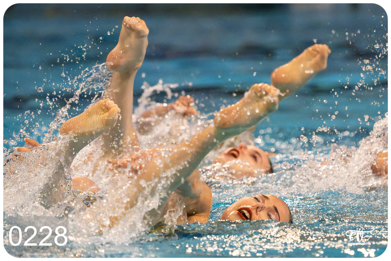 CHAMPIONNAT DE FRANCE DE NATATiON ARTISTIQUE N1 & ELITE 2026